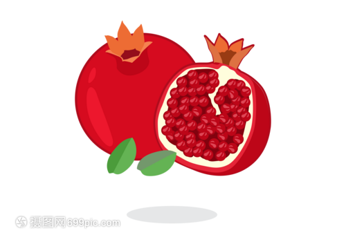 科技创新与简约美学 石榴元素在软件开发中的应用